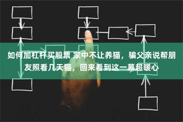 如何加杠杆买股票 家中不让养猫，骗父亲说帮朋友照看几天猫，回来看到这一幕超暖心