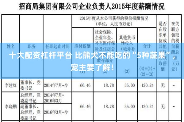 十大配资杠杆平台 比熊犬不能吃的“5种蔬果”，宠主要了解！