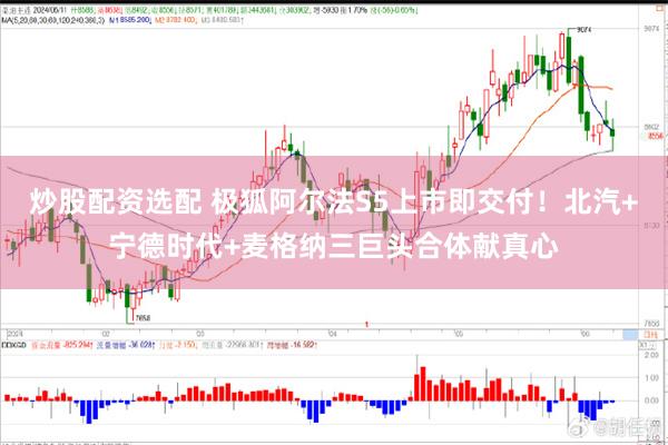 炒股配资选配 极狐阿尔法S5上市即交付！北汽+宁德时代+麦格纳三巨头合体献真心