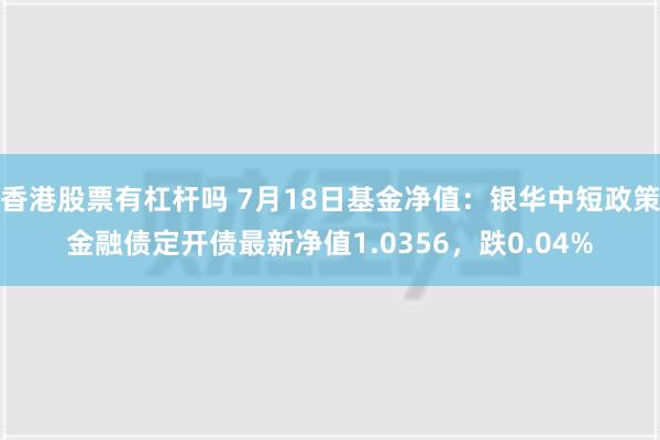 香港股票有杠杆吗 7月18日基金净值：银华中短政策金融债定开债最新净值1.0356，跌0.04%