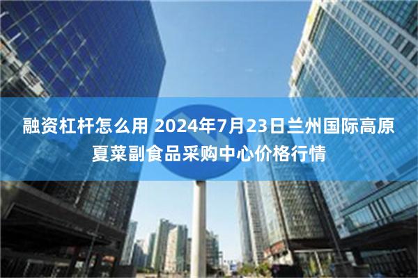 融资杠杆怎么用 2024年7月23日兰州国际高原夏菜副食品采购中心价格行情