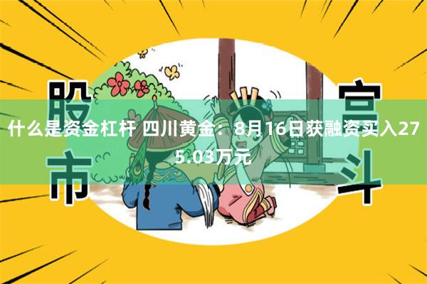 什么是资金杠杆 四川黄金：8月16日获融资买入275.03万元