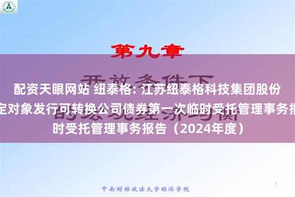 配资天眼网站 纽泰格: 江苏纽泰格科技集团股份有限公司向不特定对象发行可转换公司债券第一次临时受托管理事务报告（2024年度）