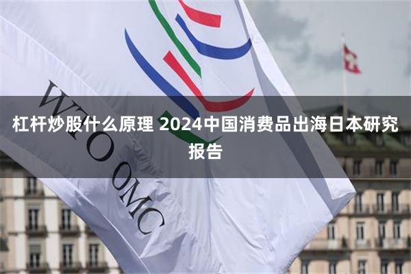 杠杆炒股什么原理 2024中国消费品出海日本研究报告