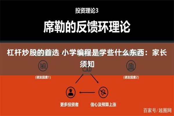 杠杆炒股的首选 小学编程是学些什么东西：家长须知