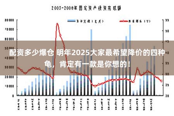 配资多少爆仓 明年2025大家最希望降价的四种龟，肯定有一款是你想的！