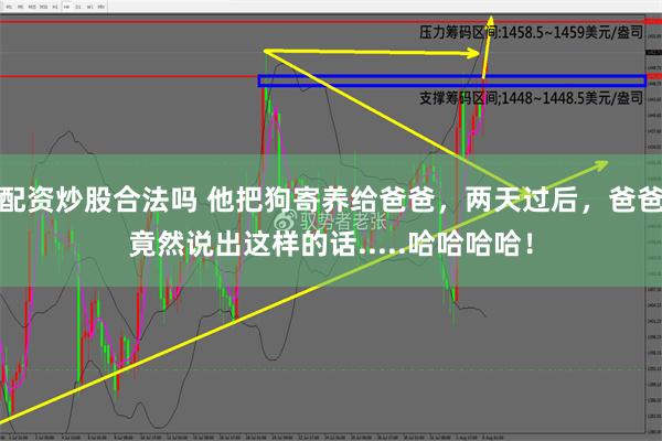 配资炒股合法吗 他把狗寄养给爸爸，两天过后，爸爸竟然说出这样的话.....哈哈哈哈！