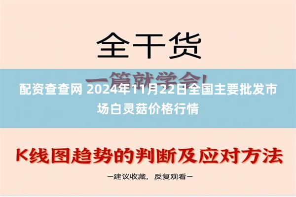 配资查查网 2024年11月22日全国主要批发市场白灵菇价格行情